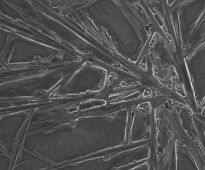 Nano Potassium molybdate